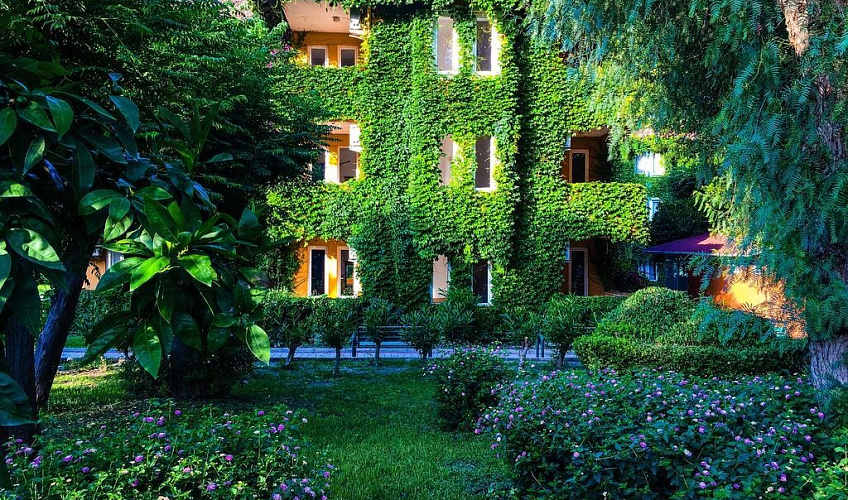 Картинка - 1