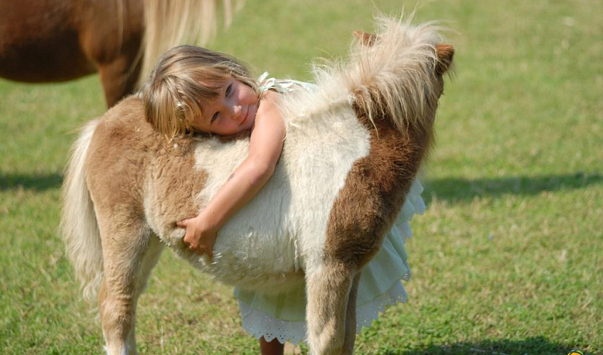 Картинка - 10