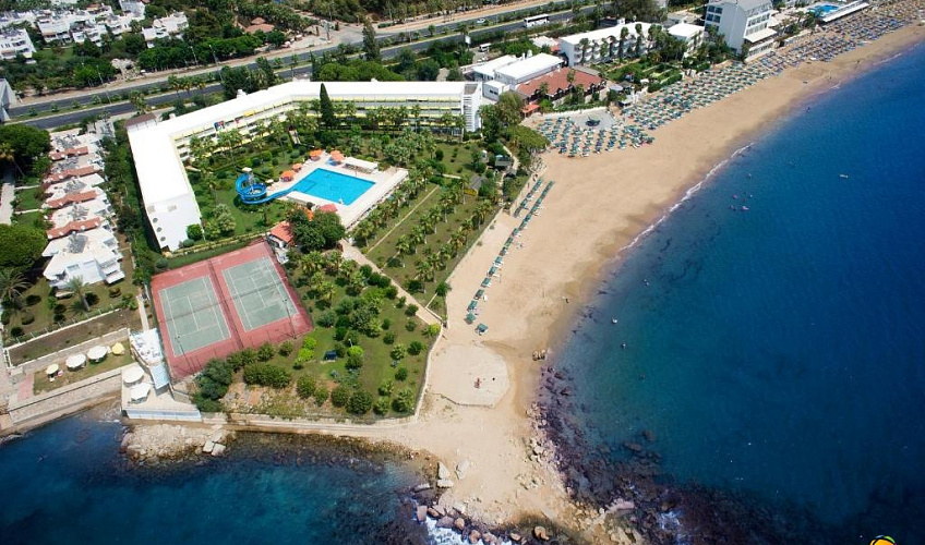 Картинка - 1