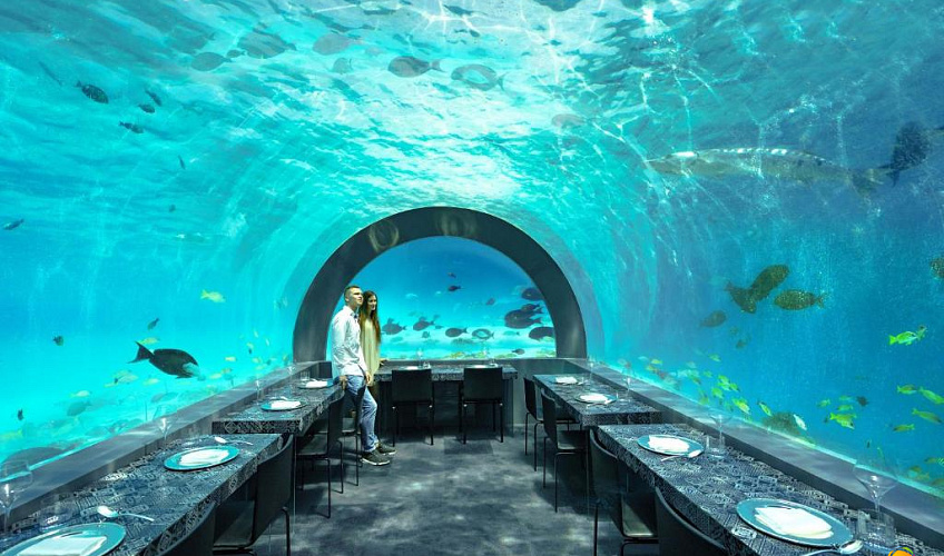 Картинка - 7