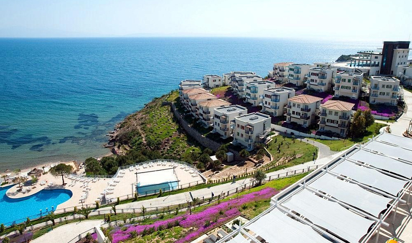 Картинка - 1