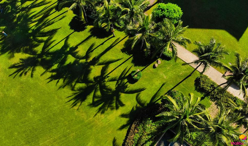 Картинка - 15