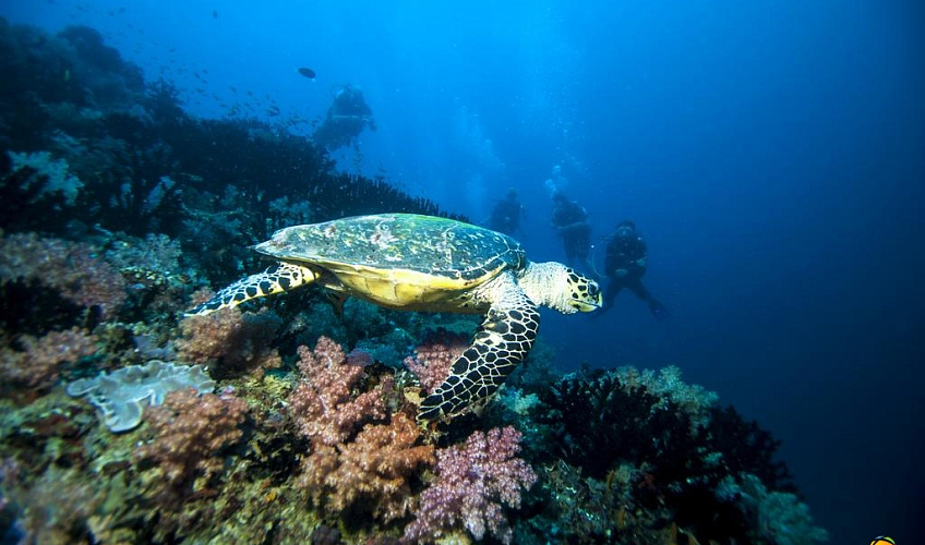 Картинка - 12