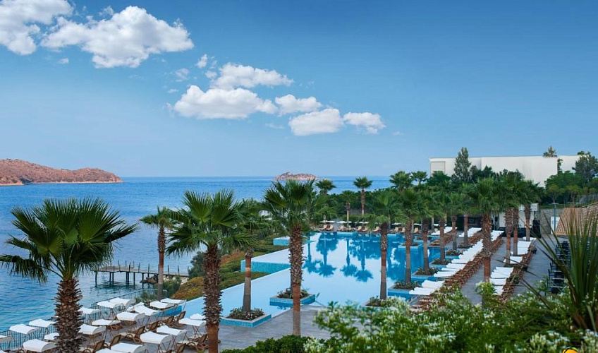 Картинка - 7