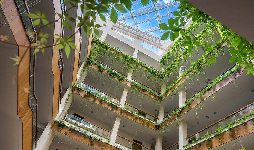 Картинка - 2