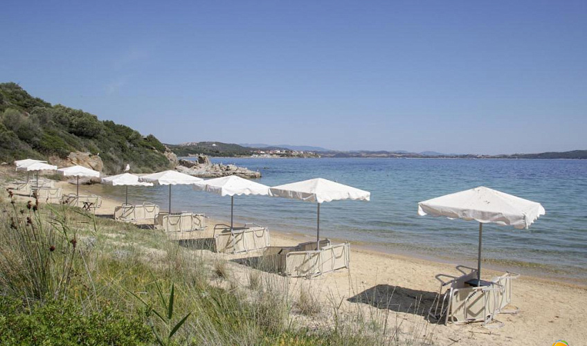 Картинка - 23