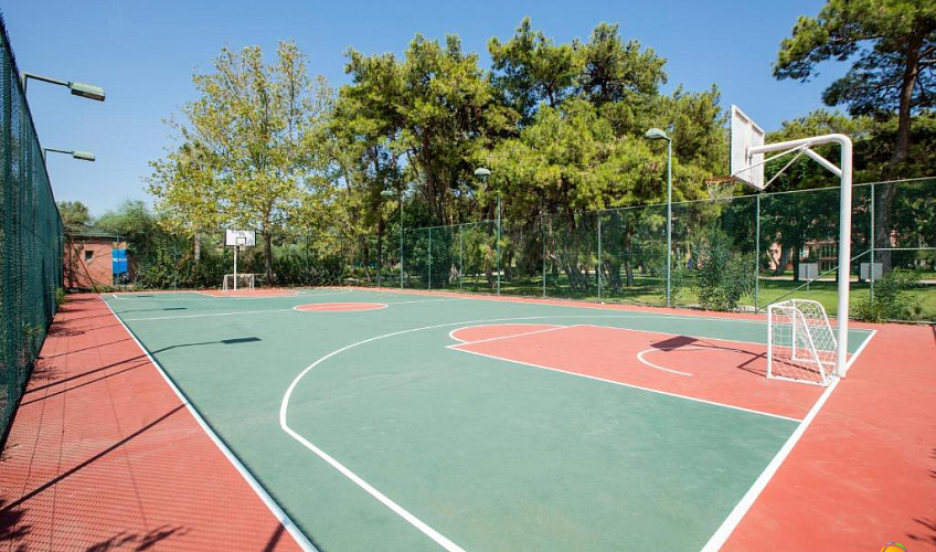 Картинка - 11