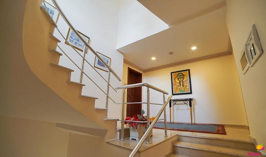 Картинка - 13