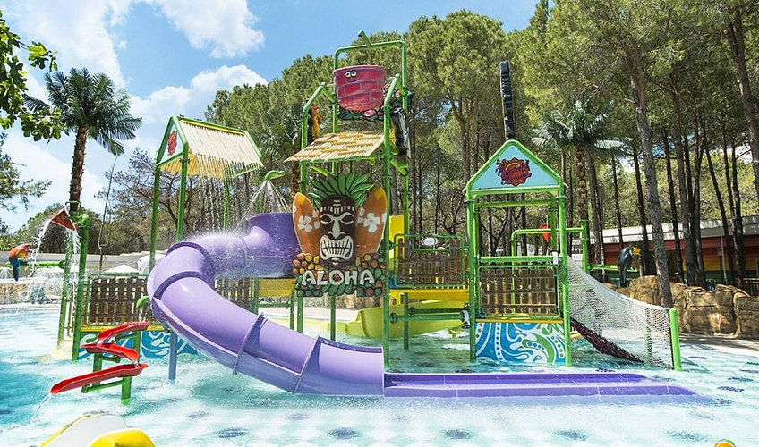 Картинка - 4