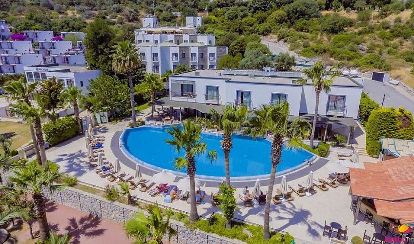 Картинка - 1