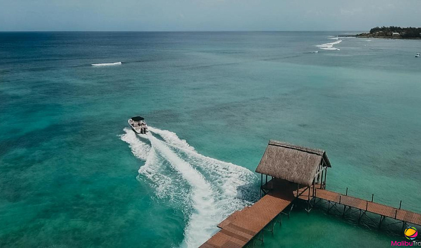 Картинка - 17