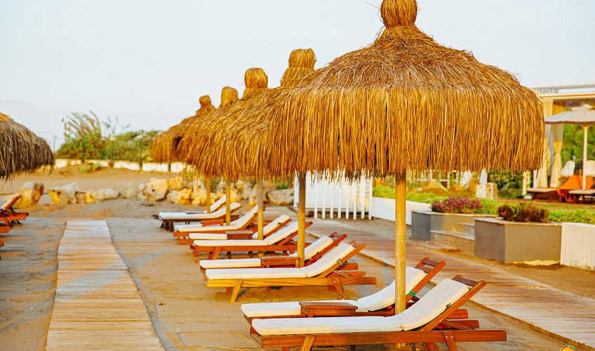 Картинка - 5