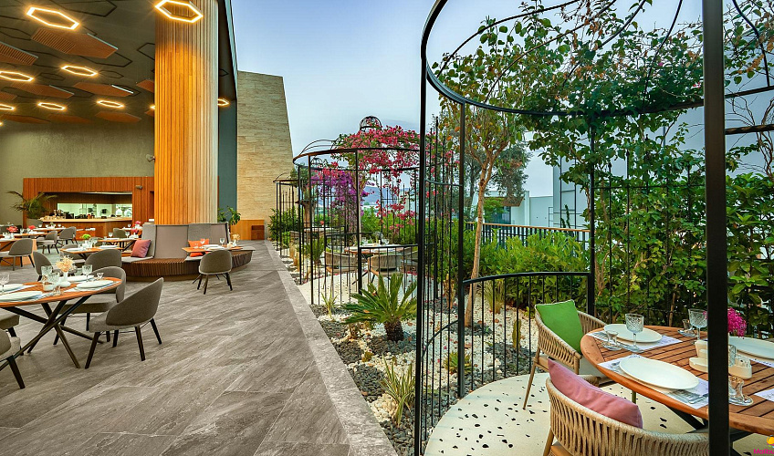 Картинка - 7