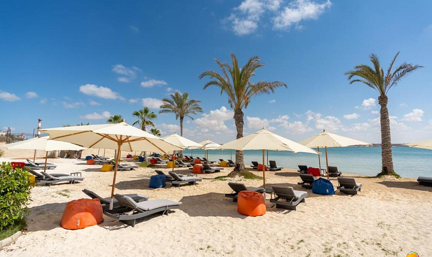 Картинка - 15