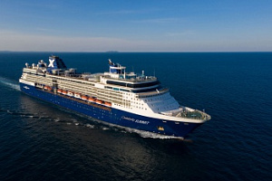 Celebrity Summit