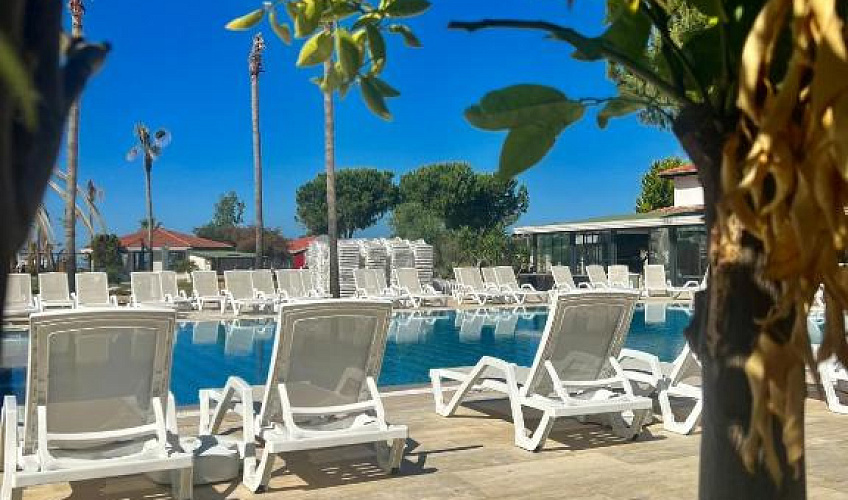 Картинка - 15