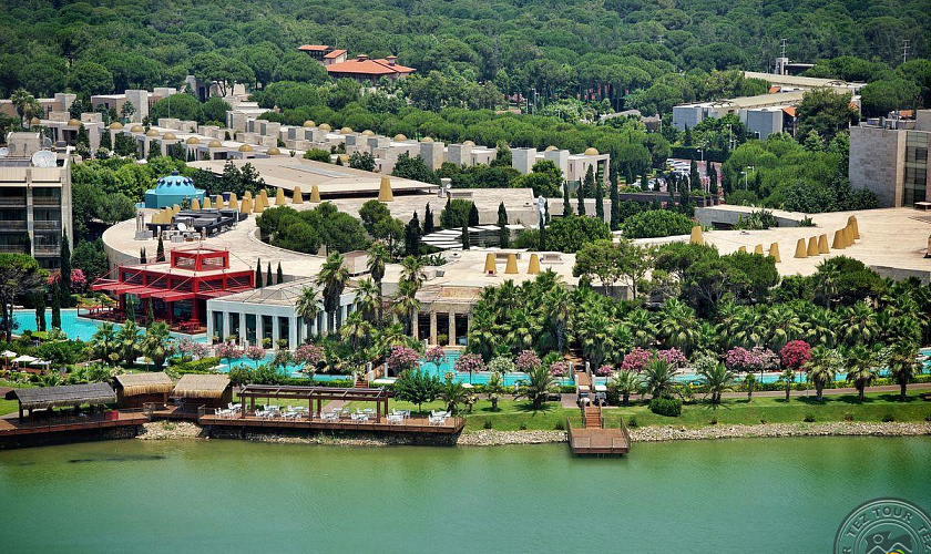 Картинка - 1