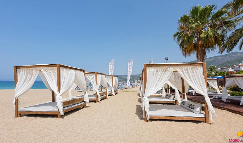 Картинка - 12