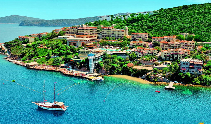 Картинка - 1