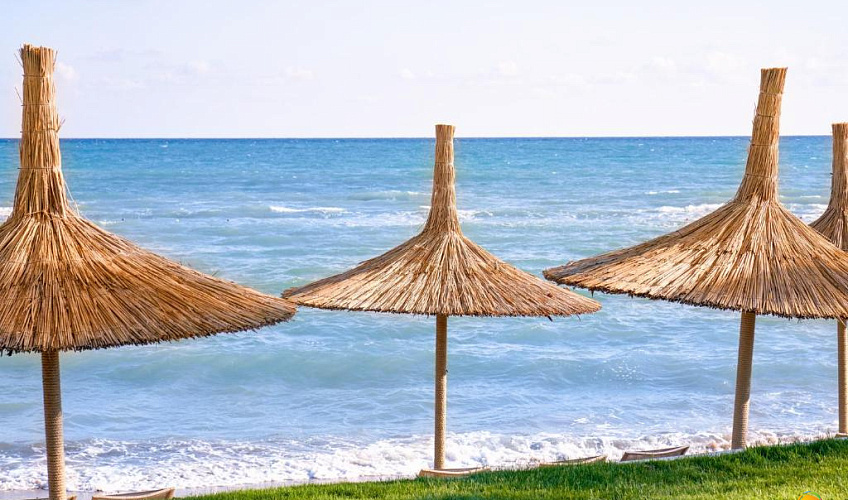 Картинка - 29