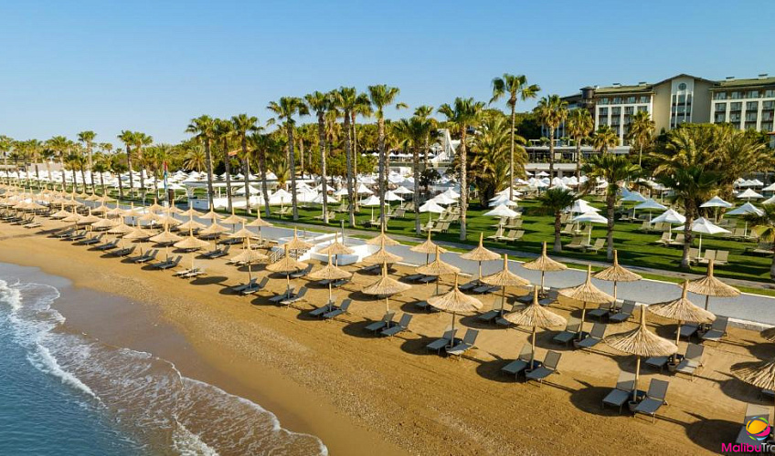 Картинка - 4