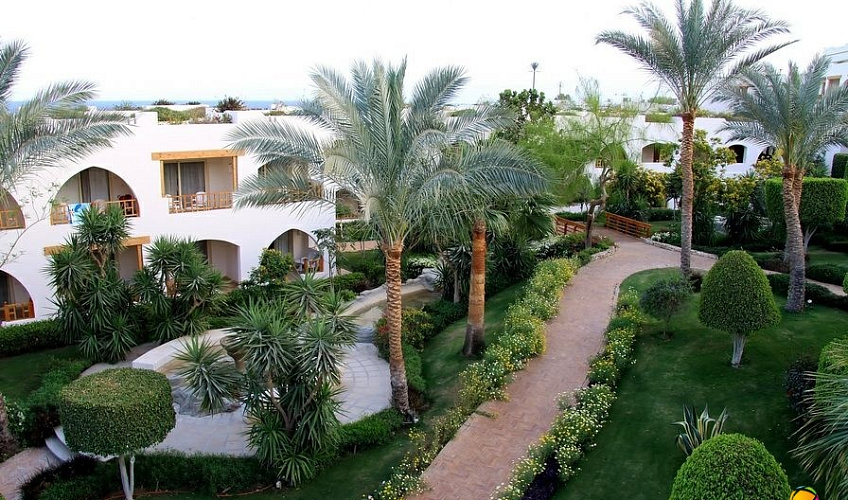 Картинка - 4