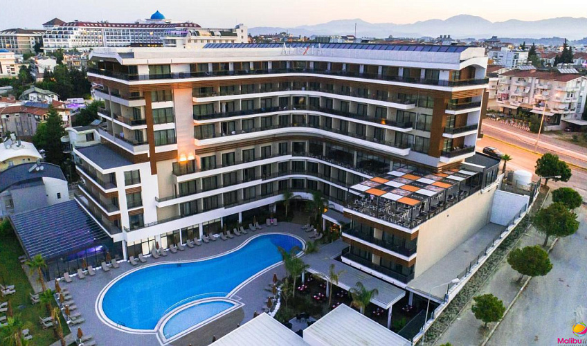 Картинка - 2