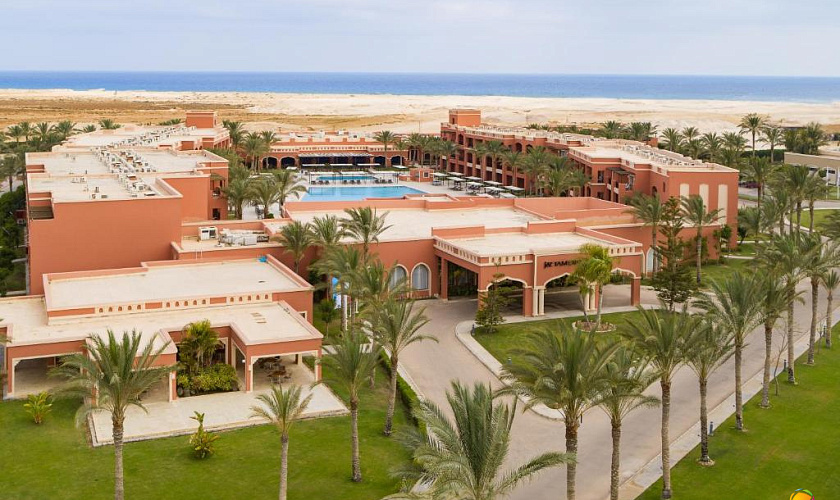 Картинка - 1