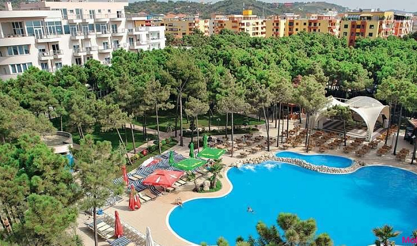 Картинка - 1