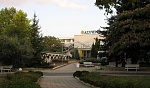 Картинка - 1