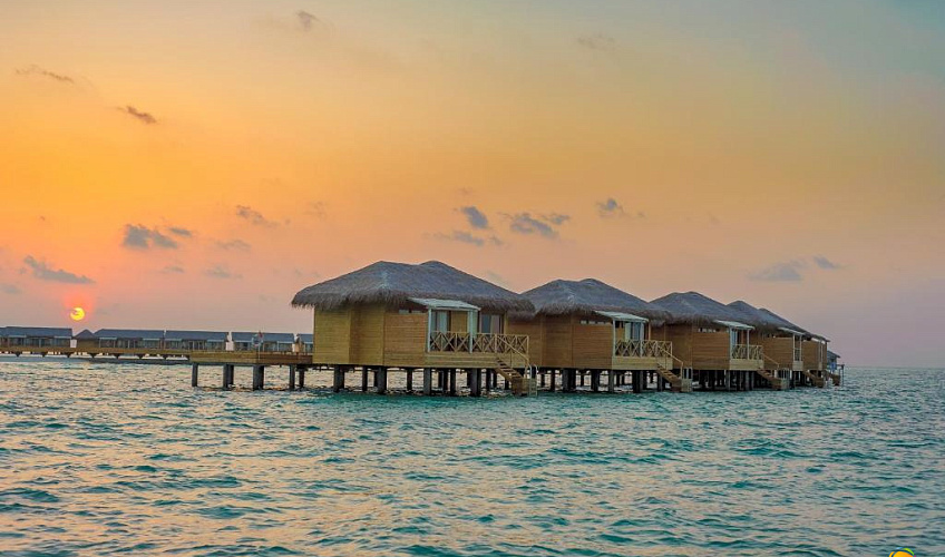 Картинка - 35