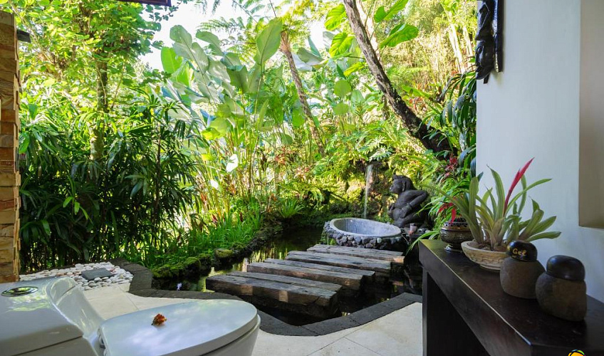 Картинка - 15