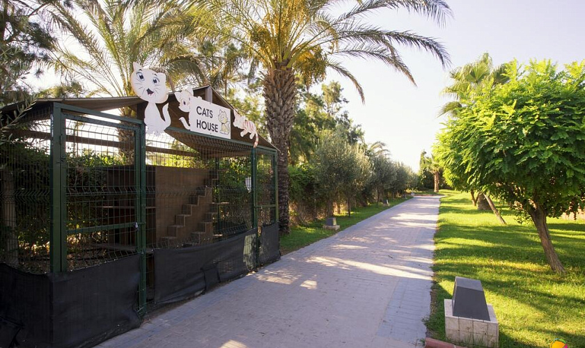 Картинка - 8