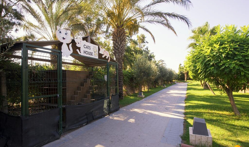 Картинка - 8