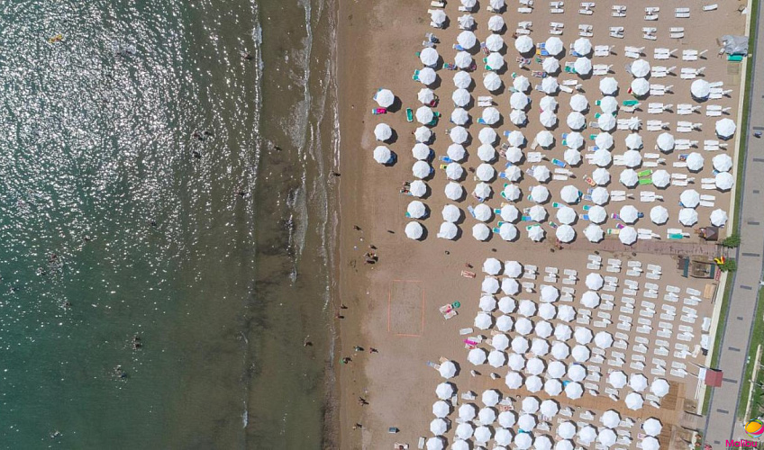 Картинка - 16