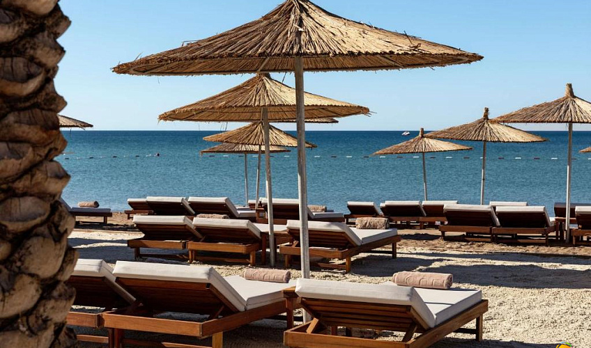 Картинка - 6