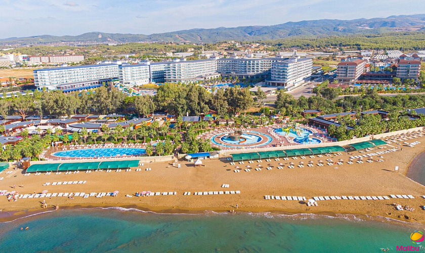 Картинка - 1