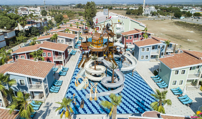 Картинка - 1