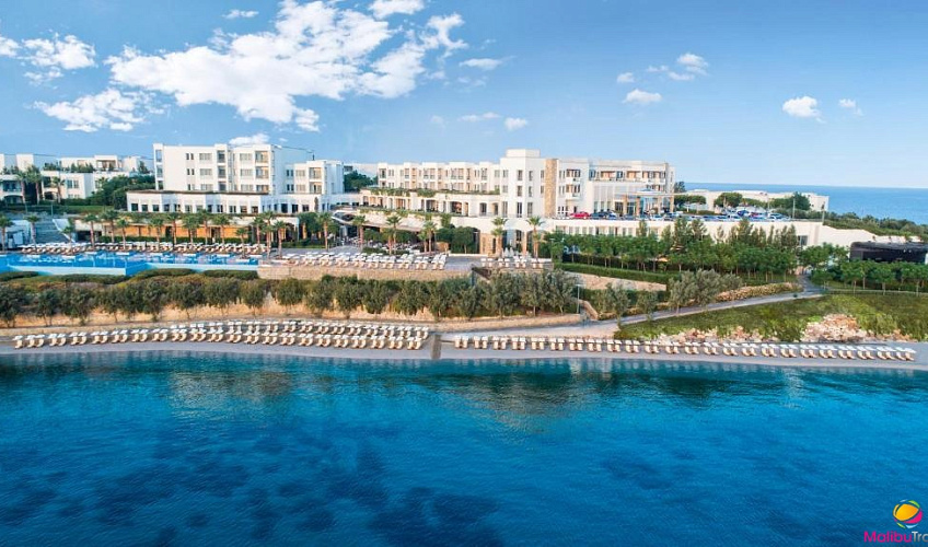 Картинка - 8