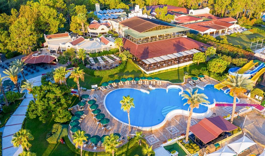 Картинка - 1