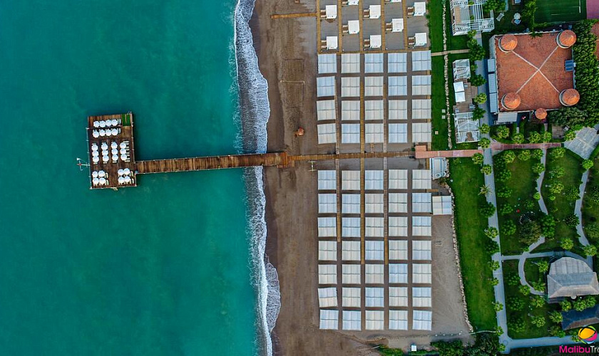 Картинка - 3