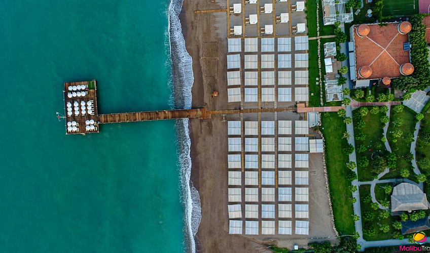 Картинка - 3