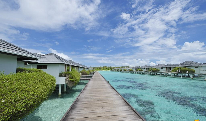 Картинка - 18