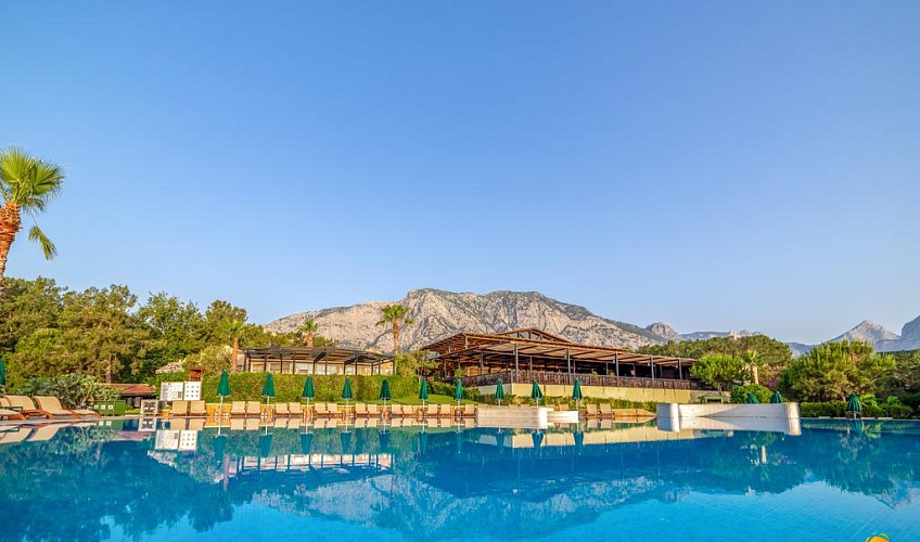 Картинка - 5