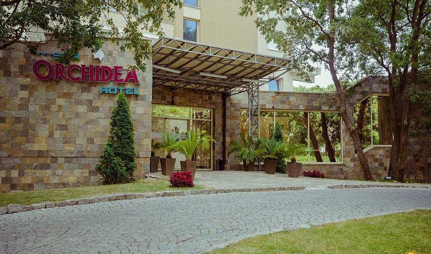 Картинка - 4