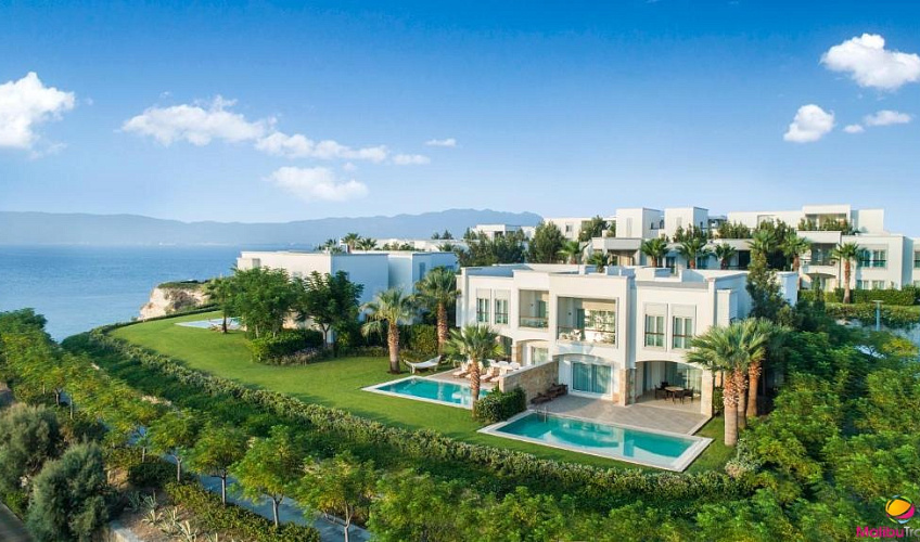 Картинка - 1