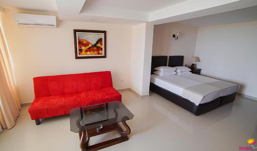 Картинка - 12