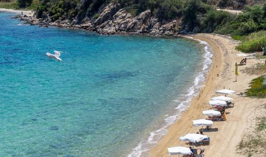 Картинка - 7