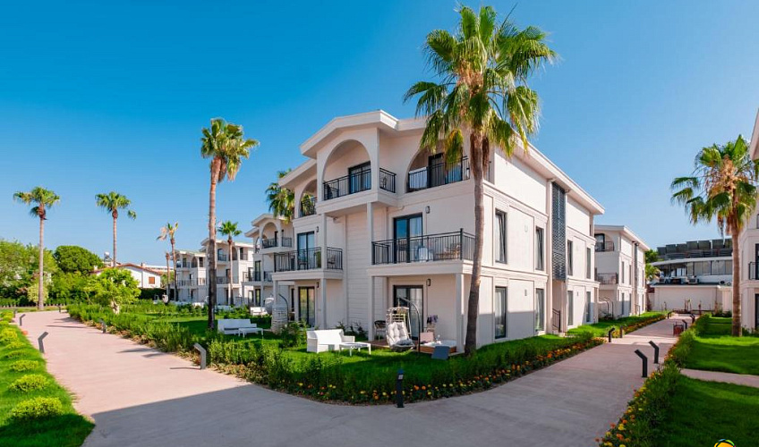 Картинка - 1