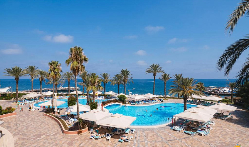 Картинка - 8